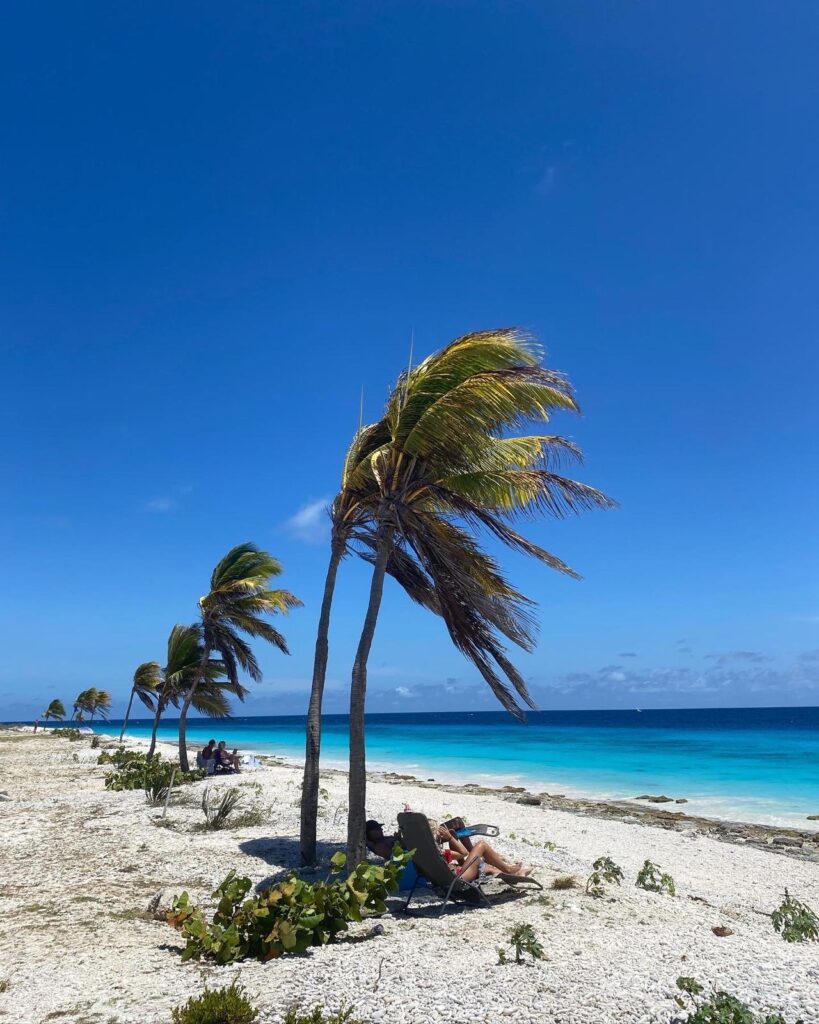 Pink beach Bonaire