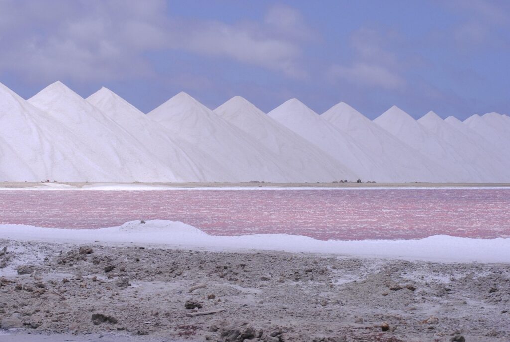 Salt pier Bonaire
