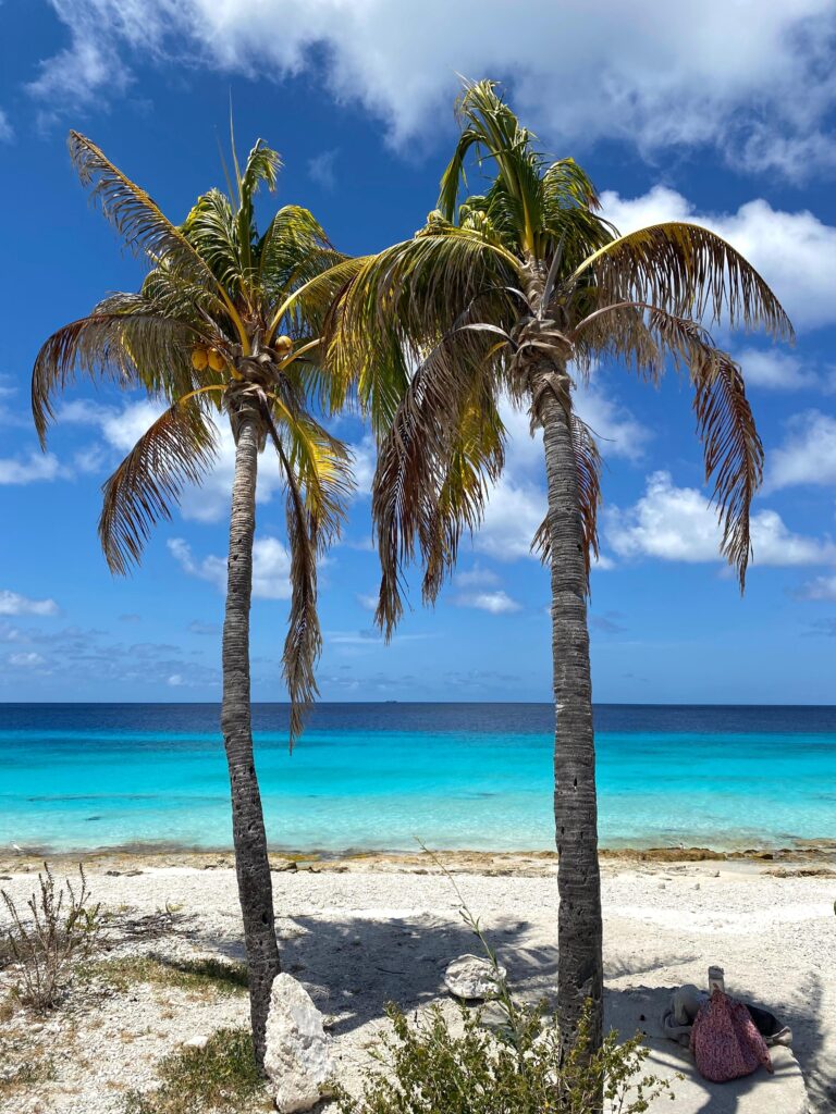Strand Bonaire