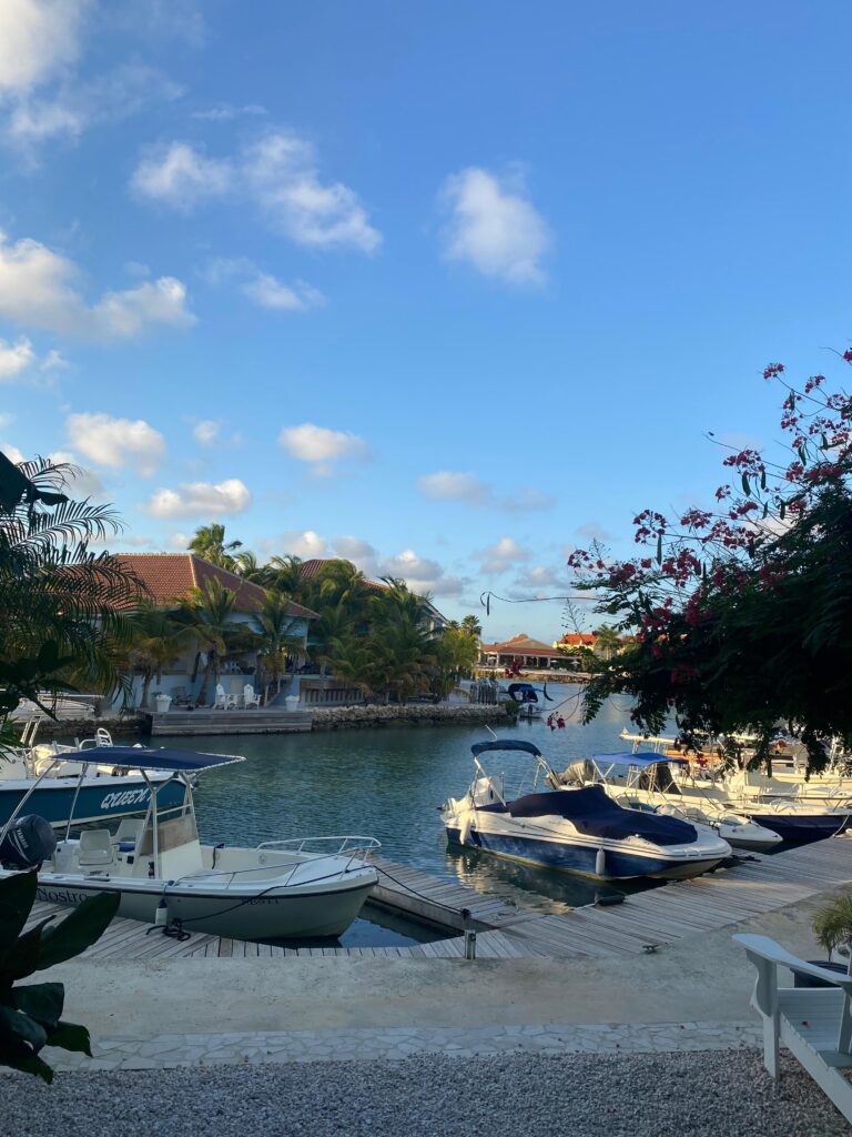 The Dock Bonaire