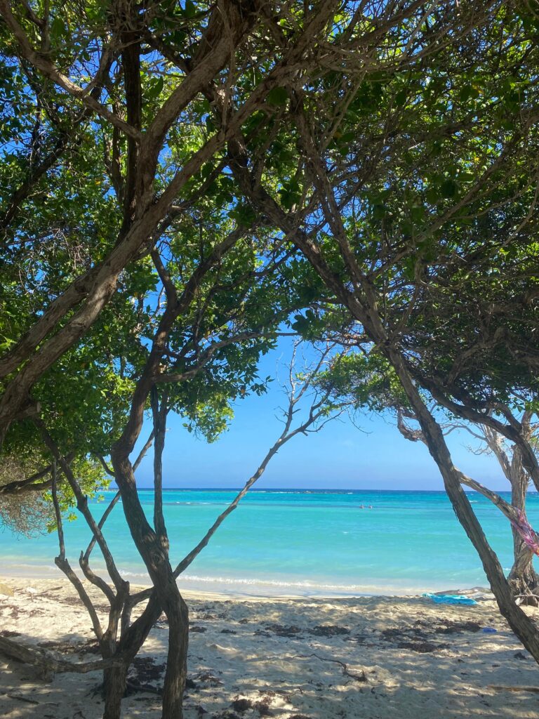 Baby Beach Aruba