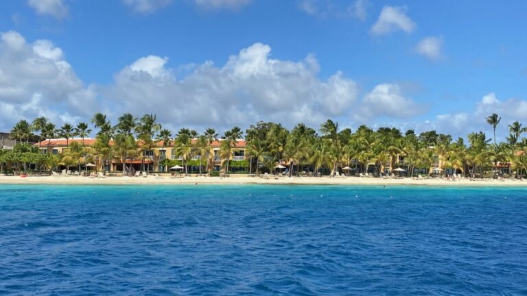 Bonaire eiland overzicht met kust en helder water